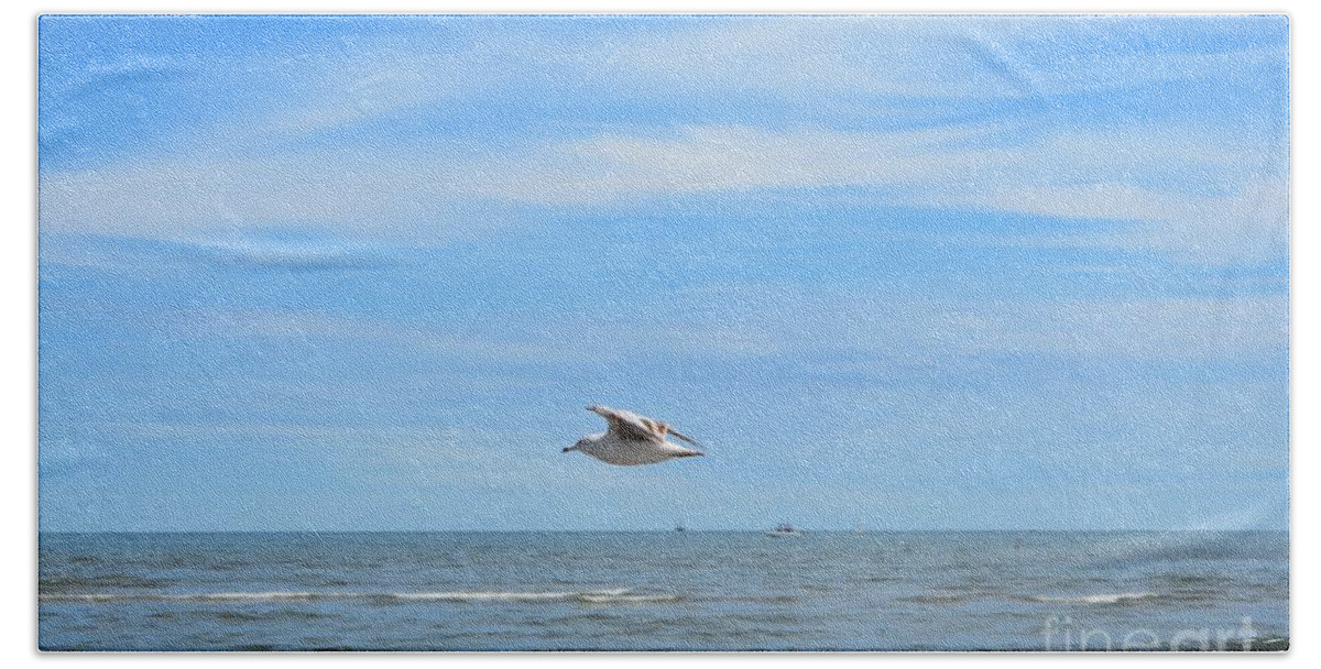 Seagull Beach Towel featuring the photograph Seagull in Flight by Dani McEvoy