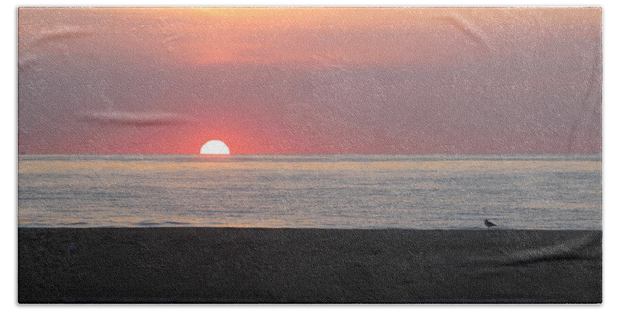 Seagull Beach Towel featuring the photograph Seagull Watching Sunrise by Robert Banach