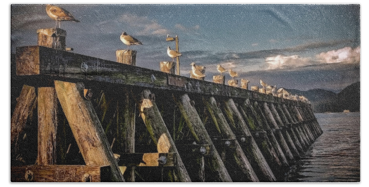 Tofino Beach Towel featuring the photograph Seagulls by Patrick Boening