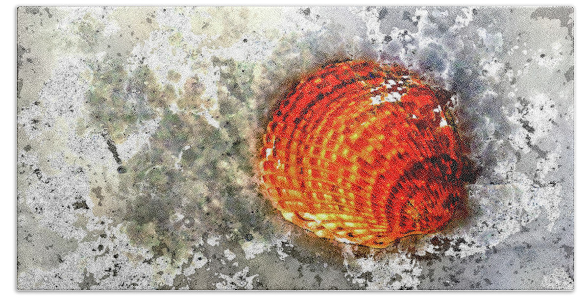 Atlantic Giant Cockle Beach Sheet featuring the photograph Seashell Art by HH Photography of Florida