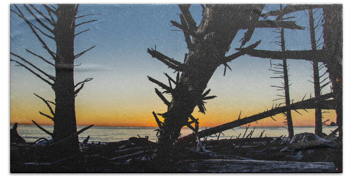 Branch Beach Towel featuring the photograph Seaside Tree Branch Sunset 3 by Pelo Blanco Photo
