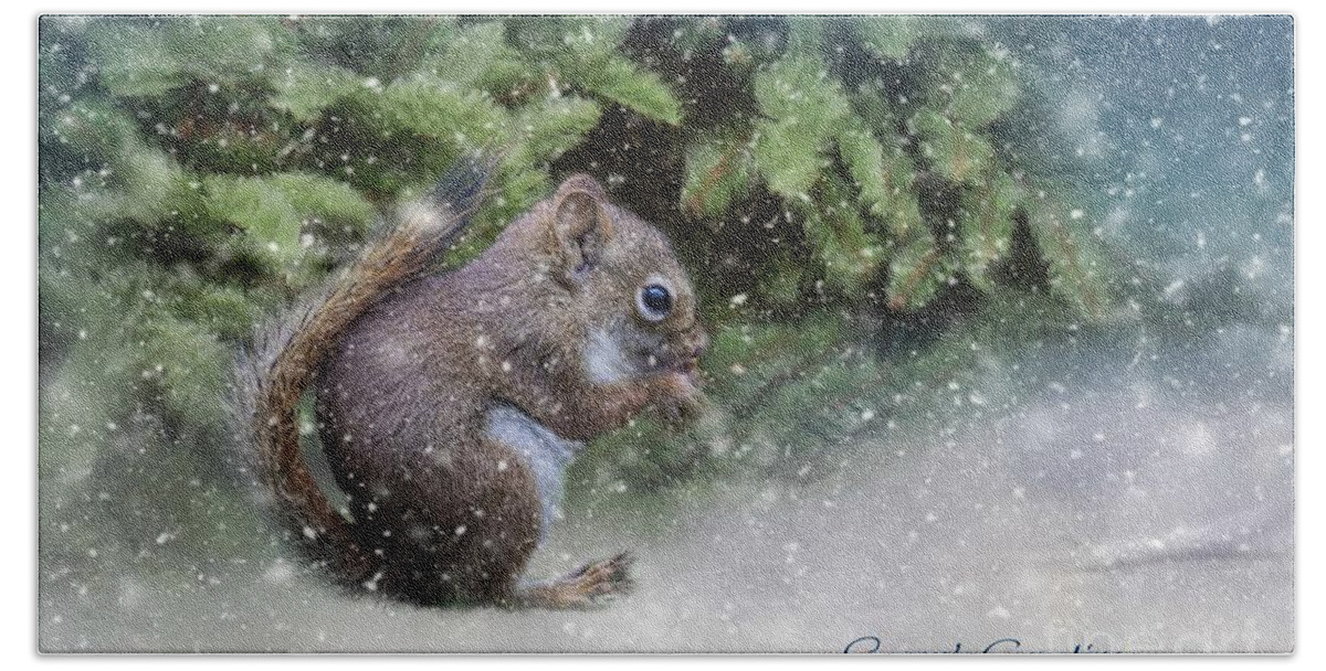 Squirrel Beach Sheet featuring the photograph Season's Greetings by Eva Lechner