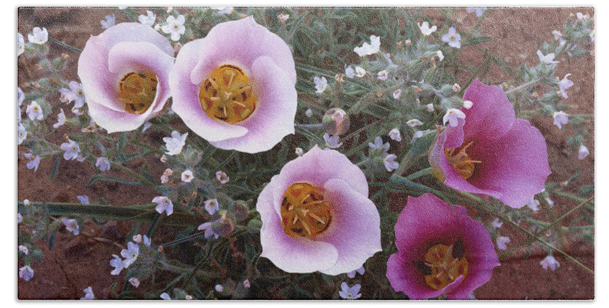00173992 Beach Towel featuring the photograph Sego Lily Group State Flower Of Utah by Tim Fitzharris