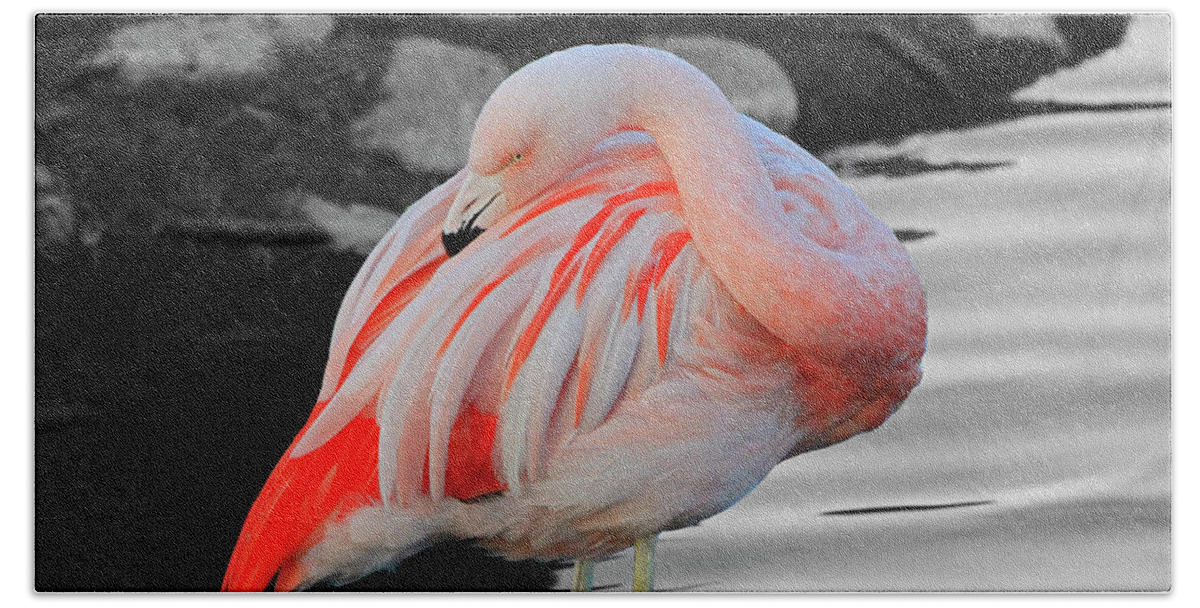Flamingo Beach Sheet featuring the photograph Selective Color Flamingo by Shoal Hollingsworth