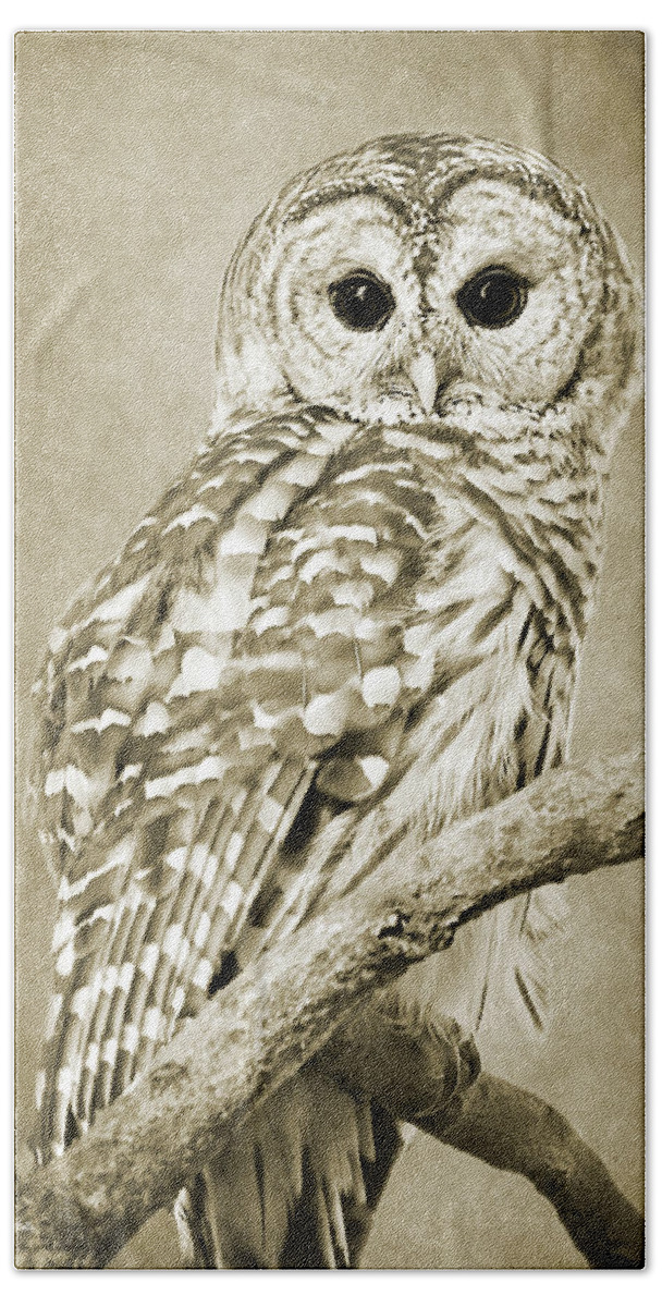 Owl Beach Towel featuring the photograph Sepia Owl by Christina Rollo