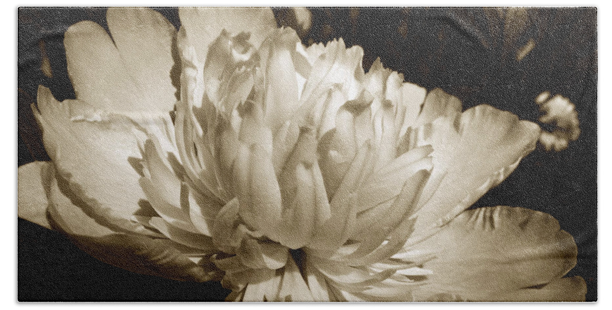 Peony Flower Beach Towel featuring the photograph Sepia Peony Flower Art by Christina Rollo