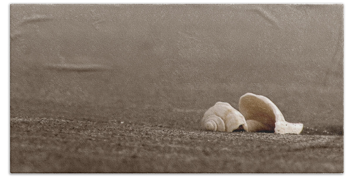 Beach Beach Towel featuring the photograph Serenity by Steven Myers