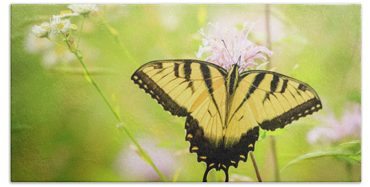 Forest Preserve Beach Towel featuring the photograph Series of Yellow Swallowtail #6 of 6 by Joni Eskridge