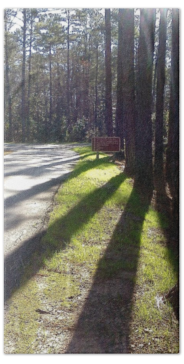 Forest Beach Towel featuring the photograph Shadows of Peace by Pamela Henry