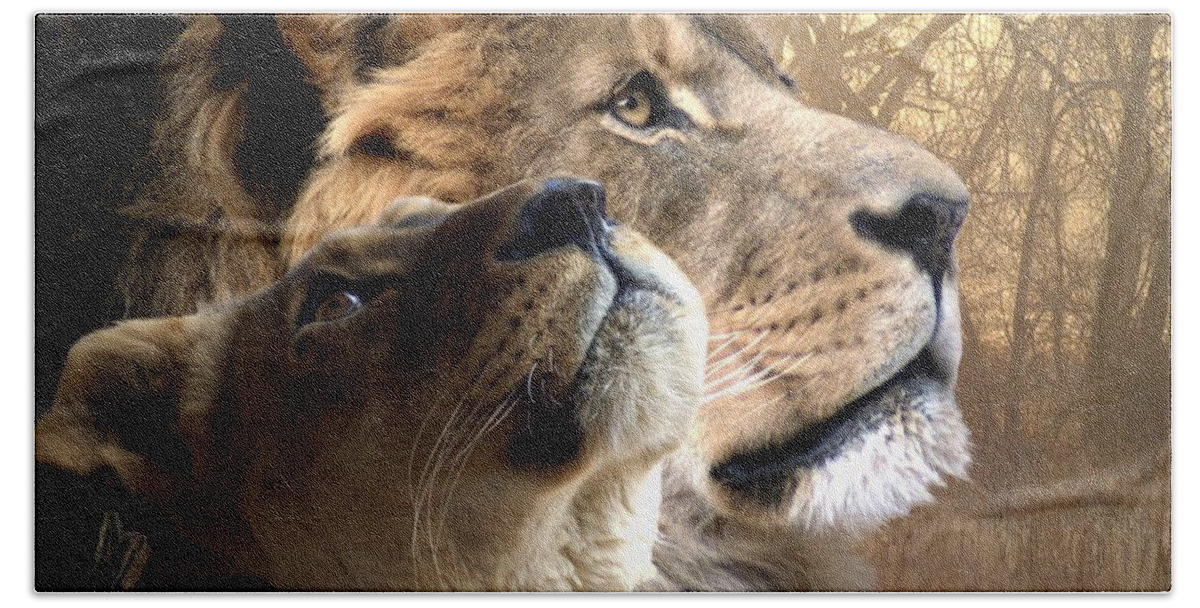 Lions Beach Towel featuring the digital art Sharing the Vision by Bill Stephens