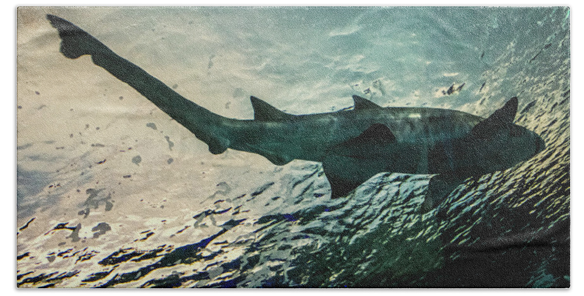 Shark Beach Towel featuring the photograph Shark Fins by Martin Newman