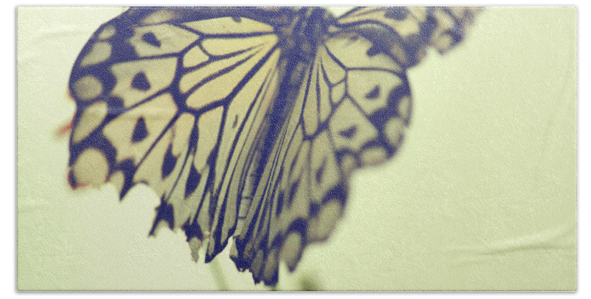 Butterflies Beach Sheet featuring the photograph She Lights The Way by The Art Of Marilyn Ridoutt-Greene