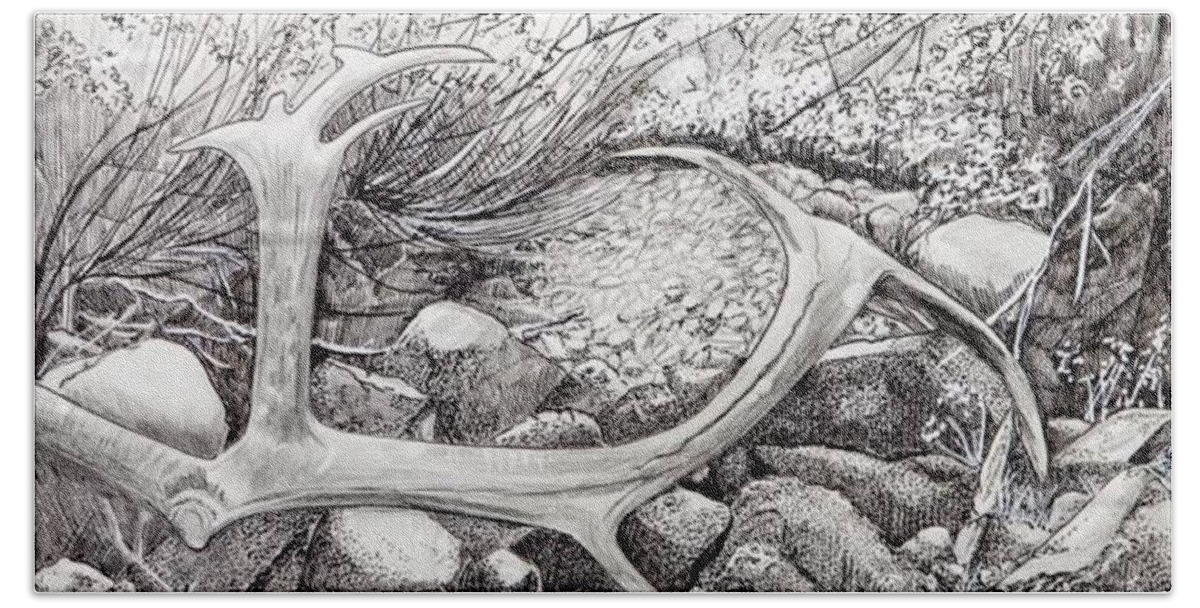 Gallery Beach Sheet featuring the drawing Shed Antler by Betsy Carlson Cross