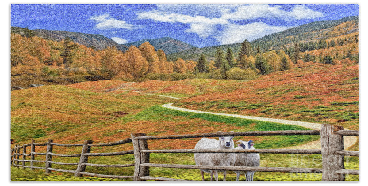 Sheep Beach Towel featuring the photograph Sheep and Road Ver 1 by Larry Mulvehill