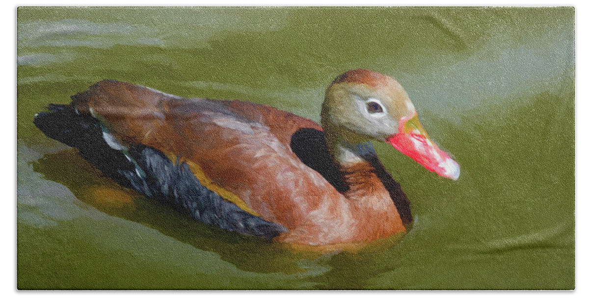 Shelduck Beach Towel featuring the photograph Shelduck in Pond - Painted by Kathleen K Parker