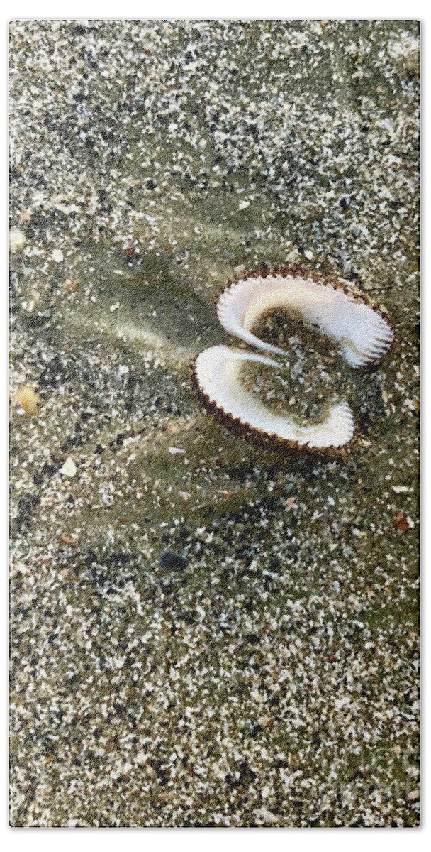 Shell Beach Sheet featuring the photograph Shell by Flavia Westerwelle