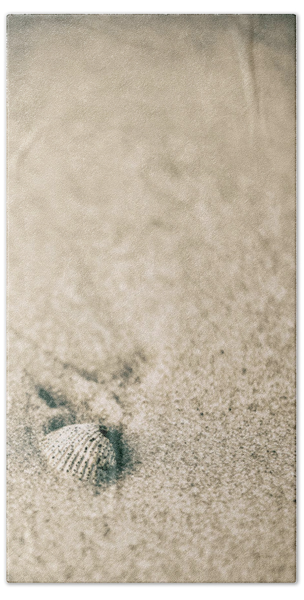 Beach Beach Sheet featuring the photograph Shell on Beach Alabama by John McGraw