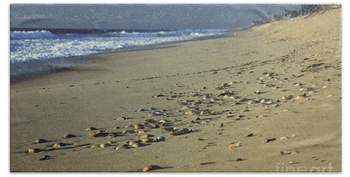 Landscape Beach Towel featuring the photograph Shells and Waves by Mary Haber