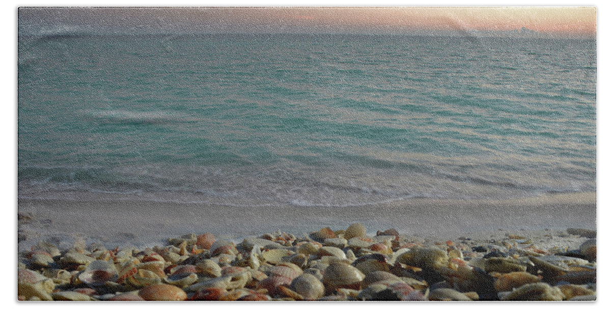 Navarre Beach Towel featuring the photograph Shells on the Shore by Renee Hardison