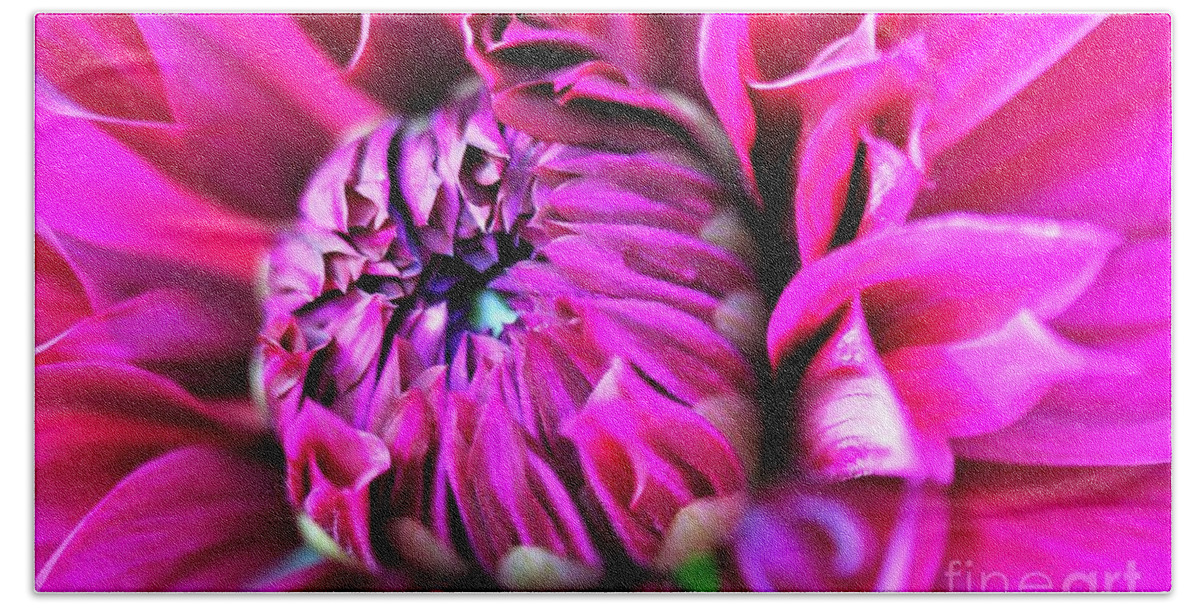 Bright Pink Beach Towel featuring the photograph Shocking Pink Dahlia 1 by Tracey Lee Cassin