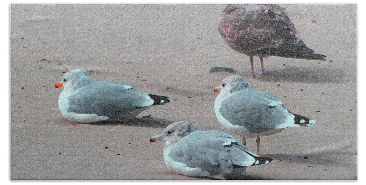 Shore Birds Beach Sheet featuring the photograph Shore Birds by Tom Janca