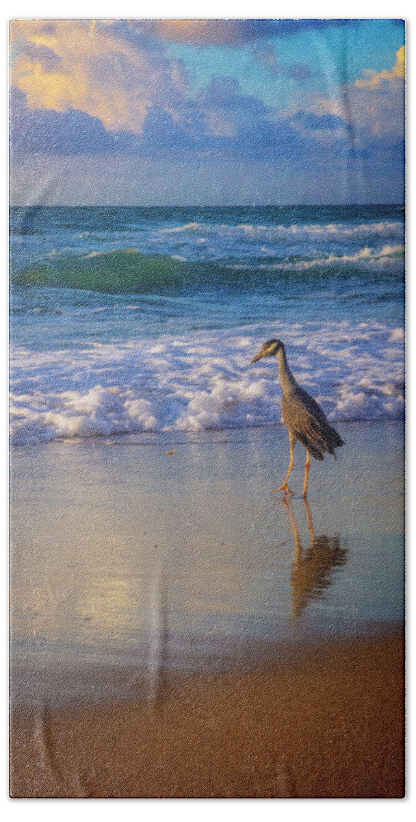 Bird Beach Towel featuring the photograph Shorebird by Debra and Dave Vanderlaan