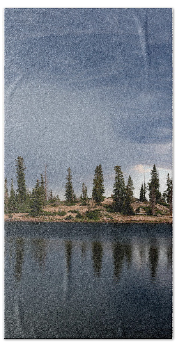 Landscape Beach Towel featuring the photograph Shoreline Pine Trees and Storm by Brett Pelletier