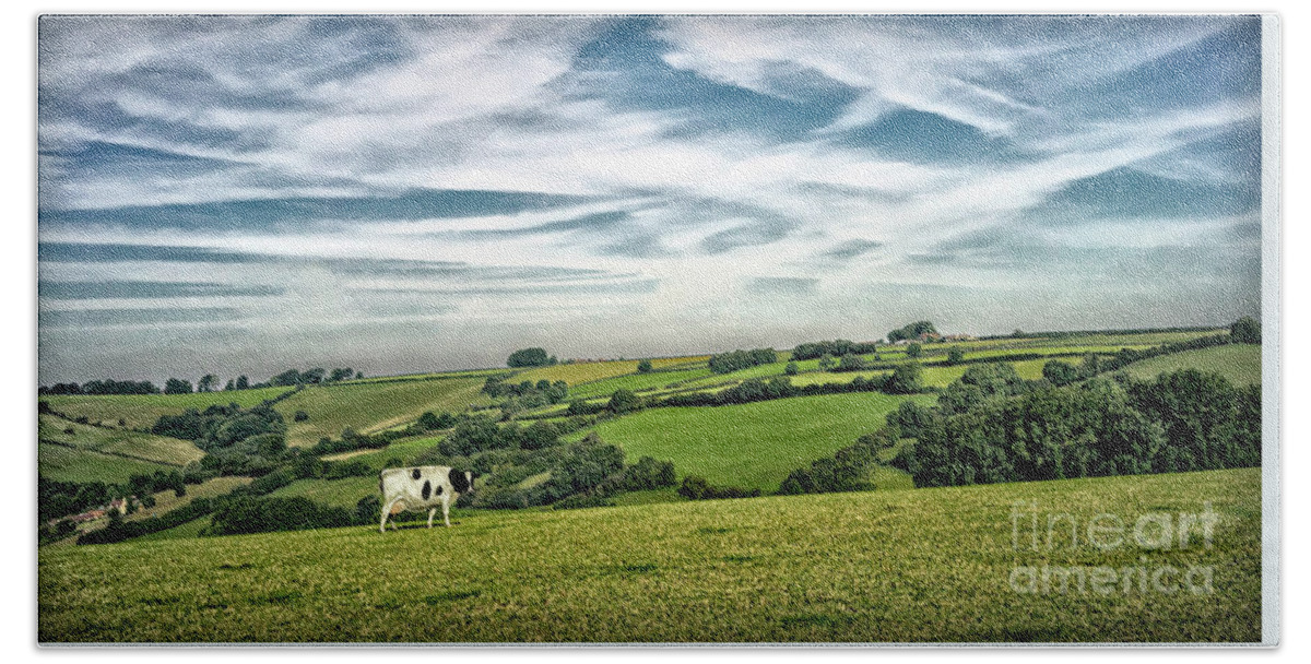 Sights Beach Towel featuring the photograph Sights in England - Cow in Pasture by Walt Foegelle