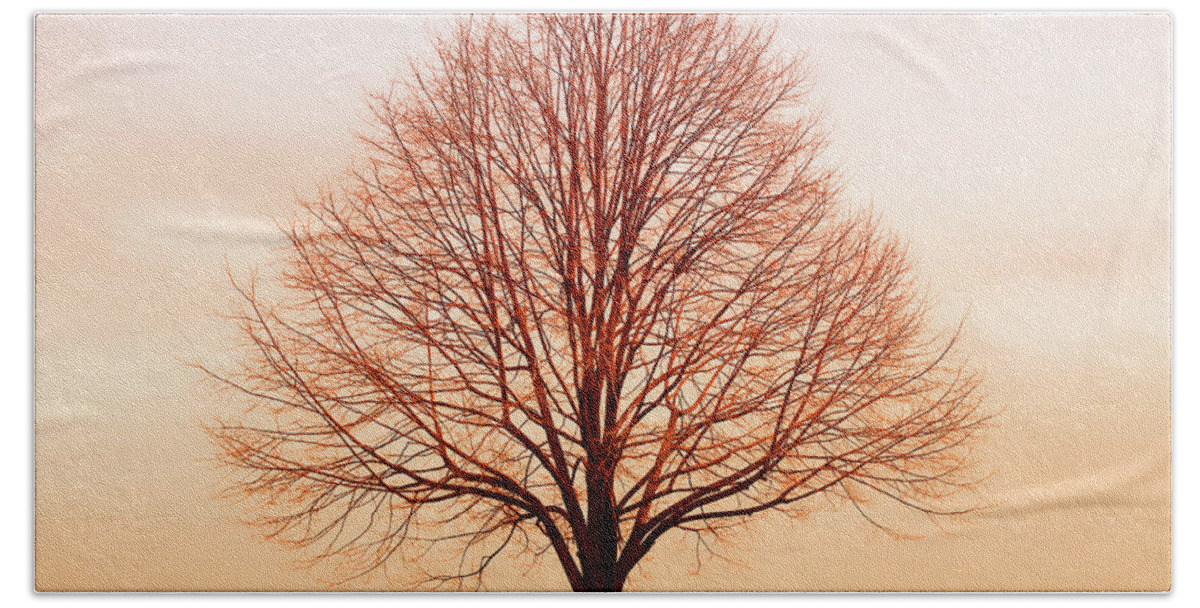 Tree Beach Towel featuring the photograph Silent Hill by Iryna Goodall