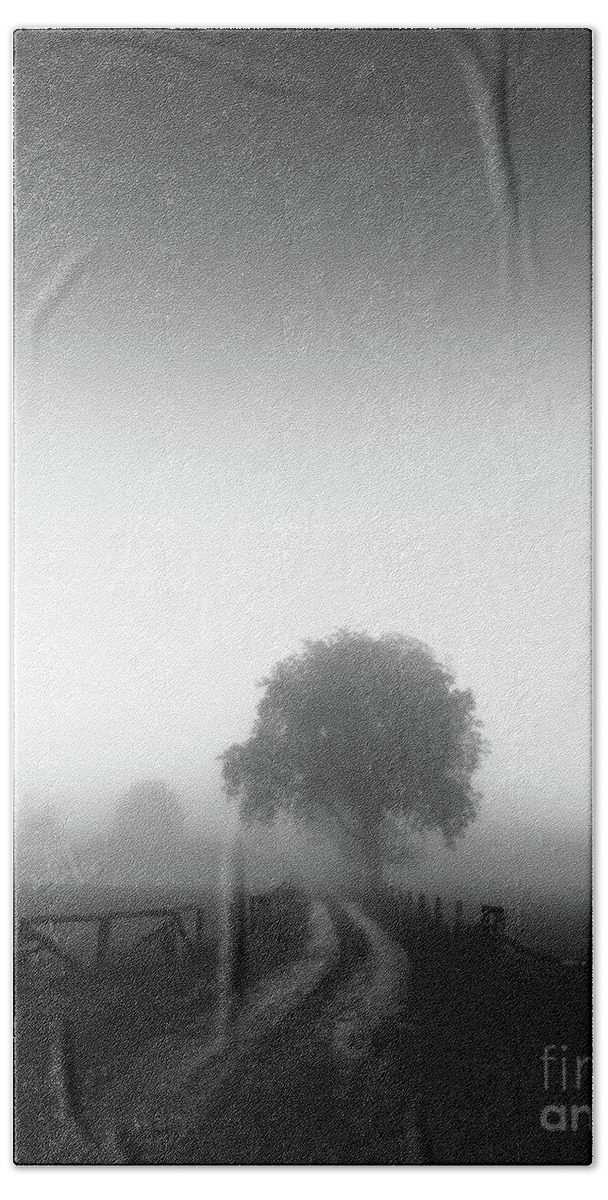 Tree Beach Sheet featuring the photograph Silent Morning by Franziskus Pfleghart