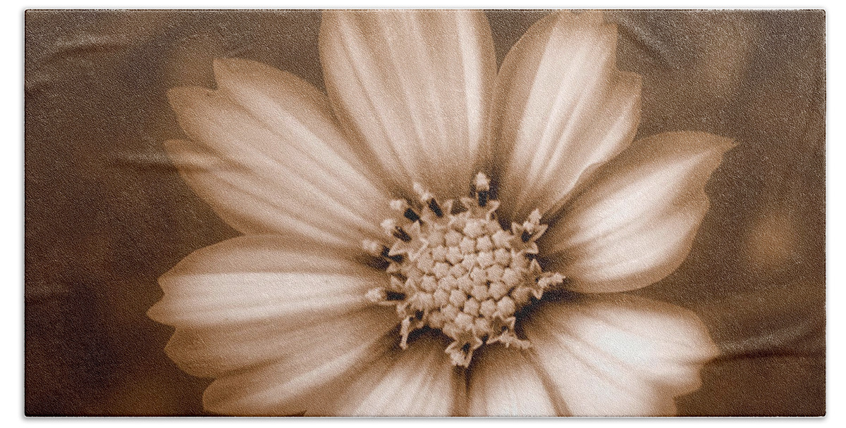 Sepia Beach Towel featuring the photograph Silent Petals by Trish Tritz