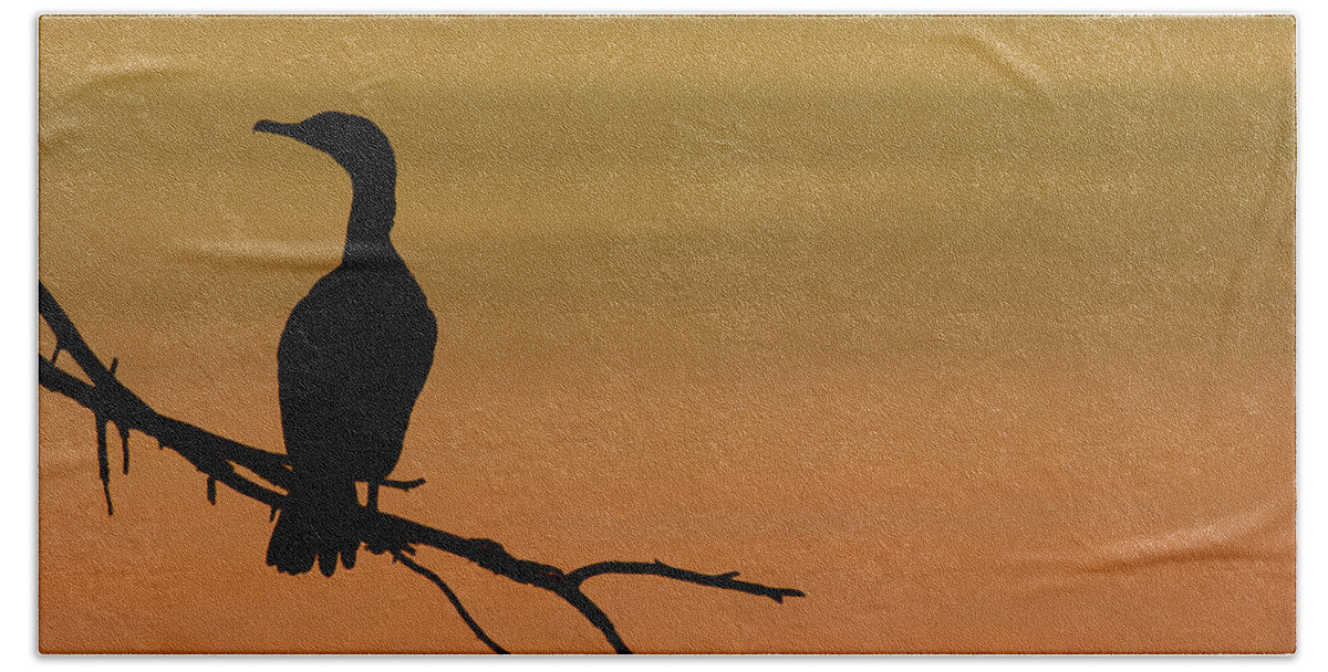 Cormorant Beach Towel featuring the photograph Silhouette Cormorant by Sebastian Musial