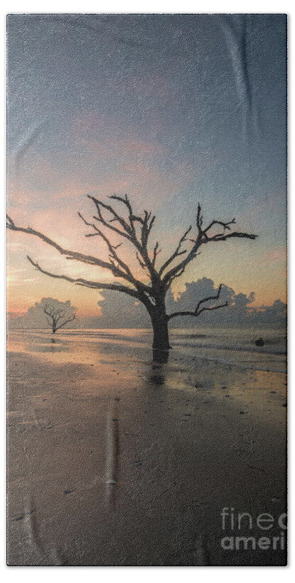 Sunrise Beach Sheet featuring the photograph Silvia's Tree by Robert Loe