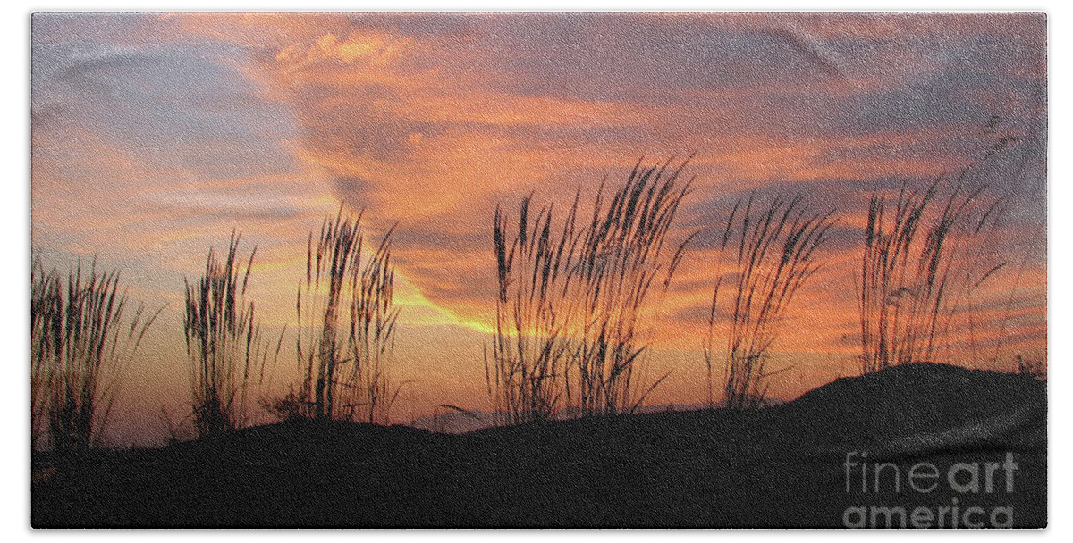 Sunset Beach Towel featuring the photograph Simple Joys by Chris Anderson