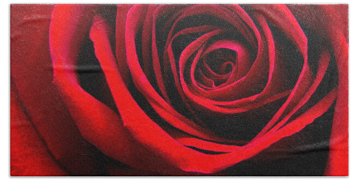 Cindi Ressler Beach Towel featuring the photograph Simply A Red Rose by Cindi Ressler