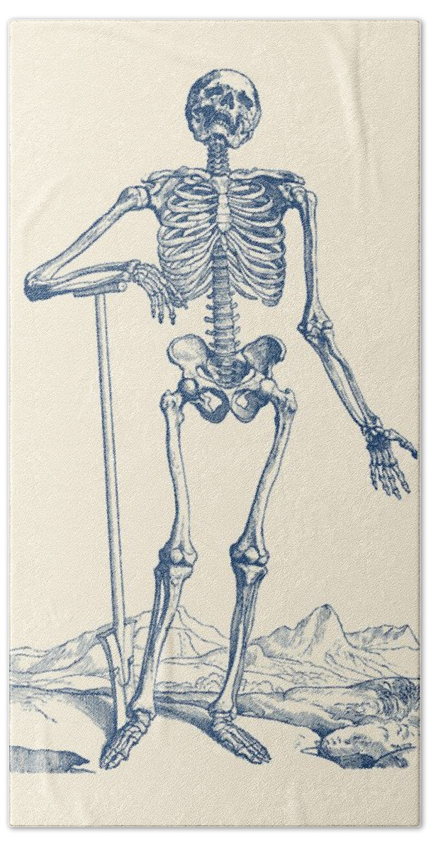 Skull Beach Towel featuring the drawing Skeleton In The Wild - Vintage Anatomy Print by Vintage Anatomy Prints