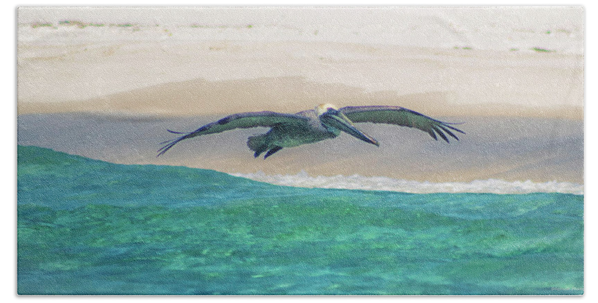 Florida Pelican Beach Towel featuring the photograph Skimming The Shore by Debra Forand