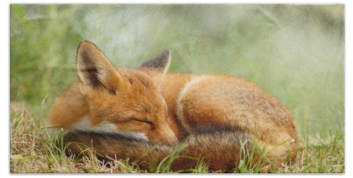 The Netherlands Beach Towel featuring the photograph Sleeping Cutie - Red Fox in the Grass by Roeselien Raimond