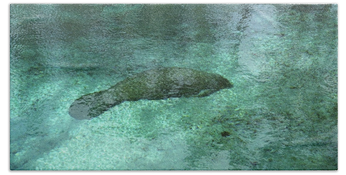 Three Sisters Springs Beach Towel featuring the photograph Sleeping in the Blue by Judy Wanamaker