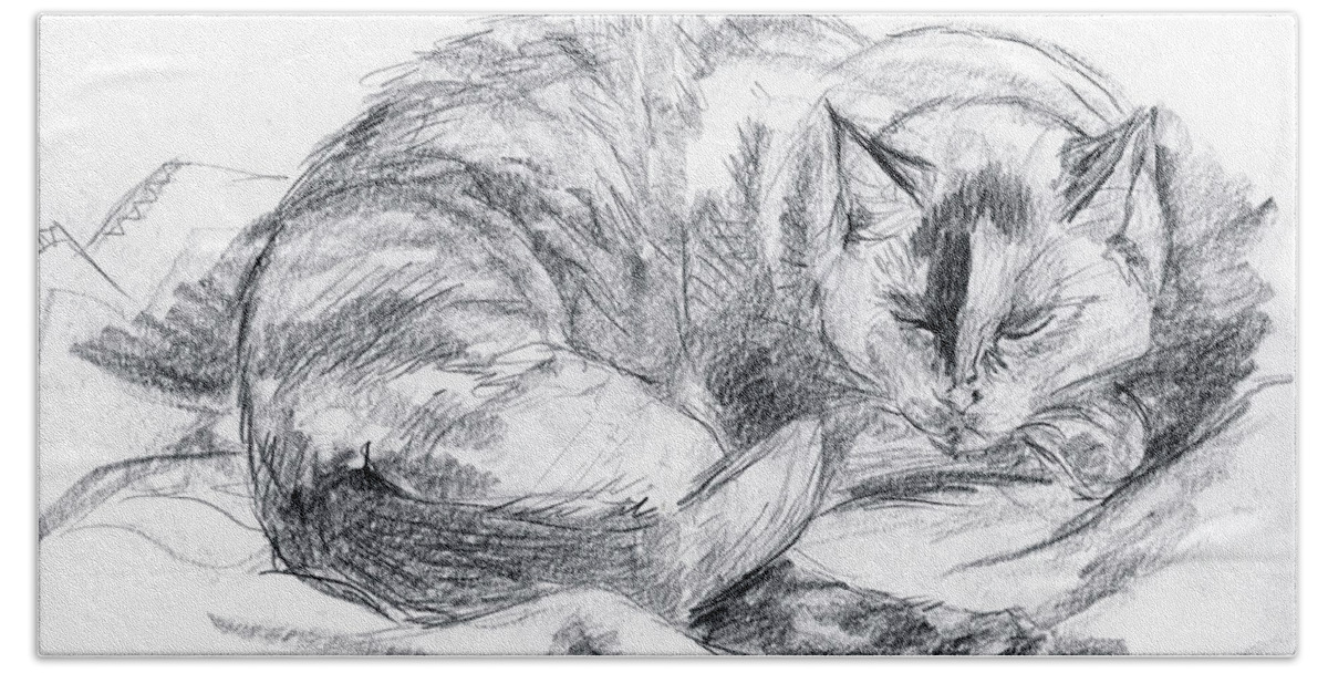 Cat Beach Towel featuring the drawing Sleeping Jago by Brandy Woods