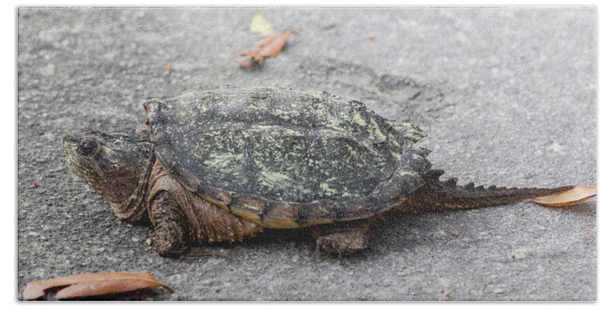 Turtle Beach Sheet featuring the photograph Slow Crossing 3 March 2018 by D K Wall