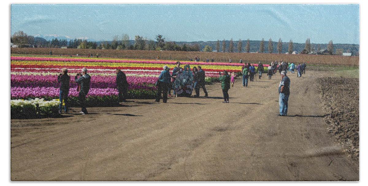 Tulips Beach Towel featuring the photograph Smile and Say Tulips by Tom Cochran