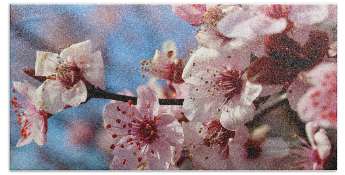 Photography Beach Towel featuring the photograph Smiling Flowering Plum Tree Blooms by M E