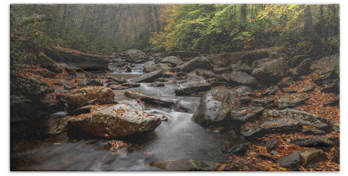 Mountains Beach Towel featuring the photograph Smoky Mountain Stream by Scott Slone