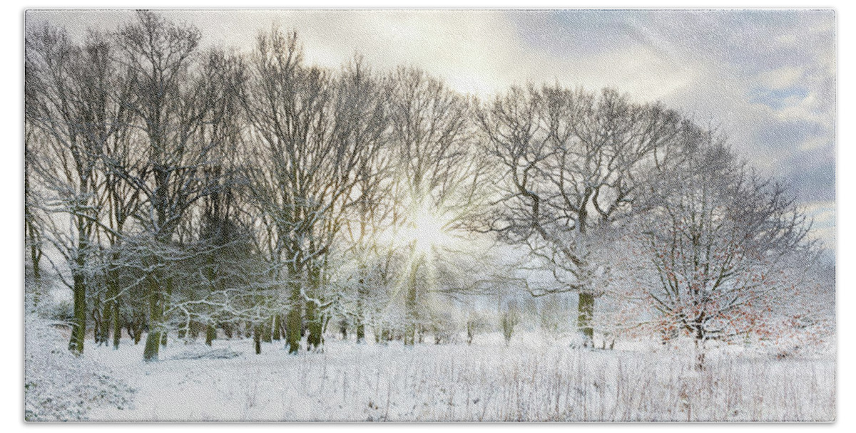 Snow Beach Towel featuring the photograph Snow covered rural trees with early morning sunrise by Simon Bratt