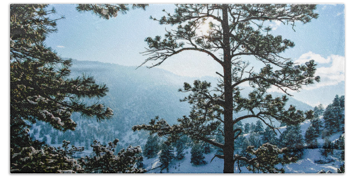 Colorado Beach Towel featuring the photograph Snow-covered Trees by Daniel Murphy