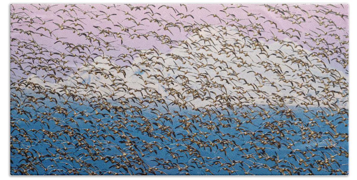 Snow Geese Beach Towel featuring the photograph Snow geese at sunset by Yoshiki Nakamura