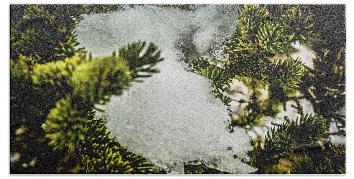  Beach Towel featuring the photograph Snow in the trees by Bill Howard