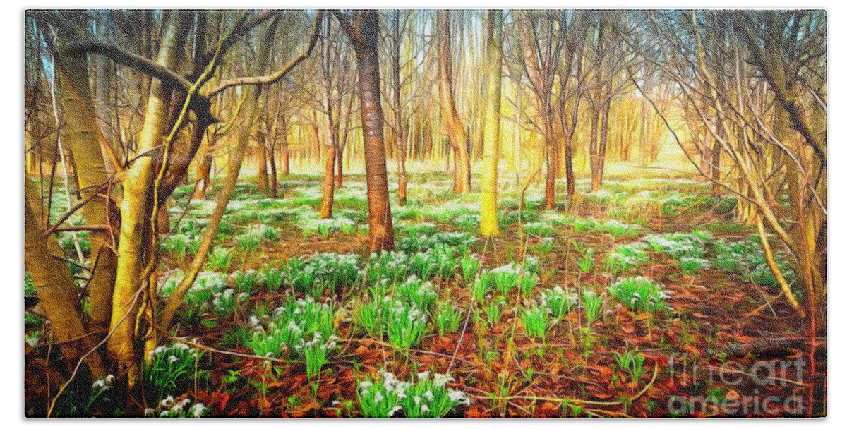 Woods Beach Towel featuring the photograph Snowdrops in the woods by Mick Flynn