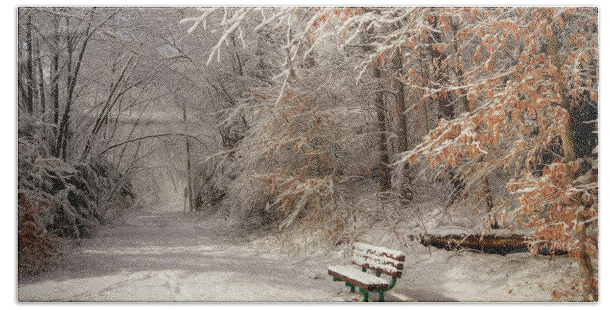 Winter Beach Towel featuring the photograph Snowy Bench by Lori Deiter